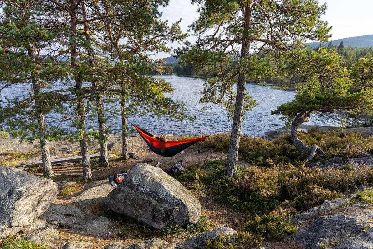 A red hammock strung between pine trees beside a calm lake