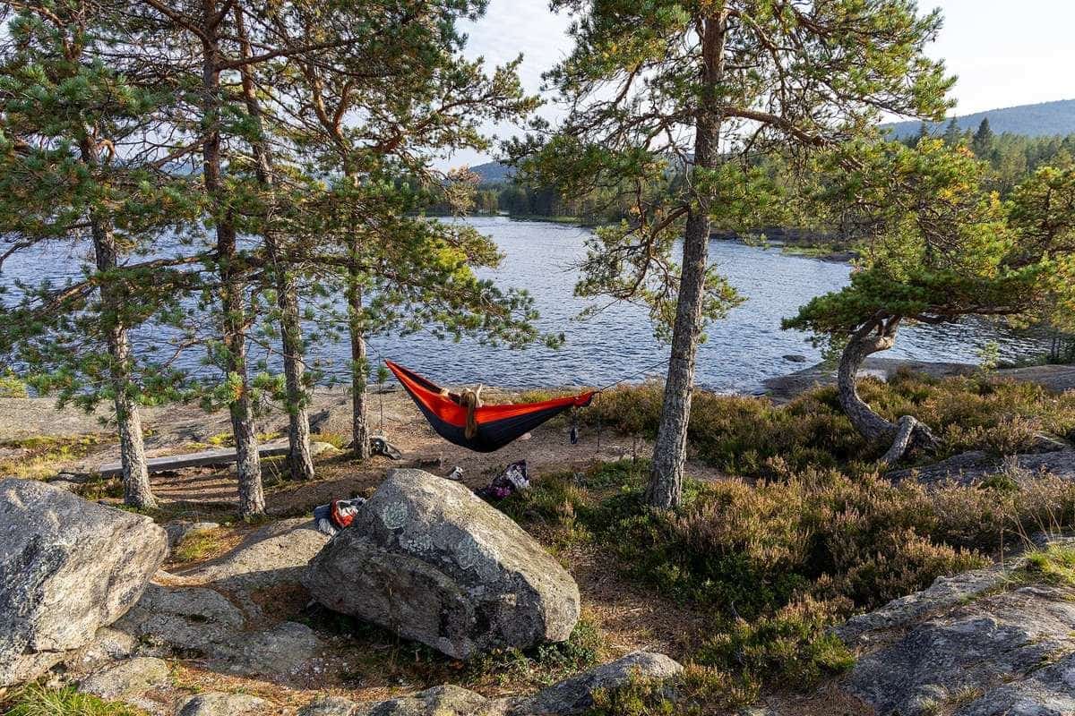 A red hammock strung between pine trees beside a calm lake